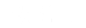 The Global Insiders